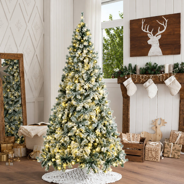 Christmas Trees Galore and Celebrations Aglow!