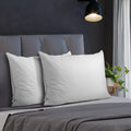 Bedra Bedding Pillow - Set of 2