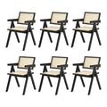 Oikiture Set of 2 Rattan Dining Chairs - Black