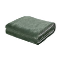 Bedra Bedding Sherpa Heated Electric Throw Rug - Trug
