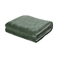 Bedra Bedding Electric Sherpa Throw Rug - Green/White Sherpa