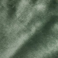 Bedra Bedding Electric Sherpa Throw Rug - Green/White Sherpa