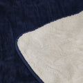 Bedra Bedding Electric Flannel Throw Rug - Beige Sherpa