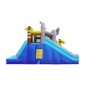 AirMyFun Animal Theme Inflatable Castle Water Slide