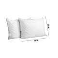 Bedra Bedding Pillow - Set of 2