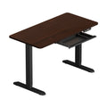 Oikiture 120cm Electric Standing Desk - Walnut