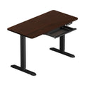 Oikiture Standing Desk - 120cm Electric