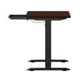 Oikiture Standing Desk - 120cm Electric