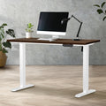 Oikiture 120cm Electric Standing Desk - Walnut