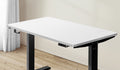 Oikiture 120cm Electric Standing Desk - White