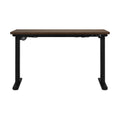 Oikiture Standing Desk - 160cm Electric