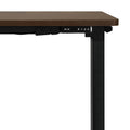 Oikiture 160cm Electric Standing Desk - Walnut