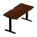 Oikiture 140cm Electric Standing Desk - Walnut