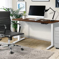 Oikiture 160cm Electric Standing Desk - Walnut