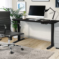 Oikiture 120cm Electric Standing Desk - Black