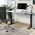 Oikiture 120cm Electric Standing Desk - White
