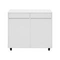 Oikiture Filing Cabinet - 2-Door 4-Drawer